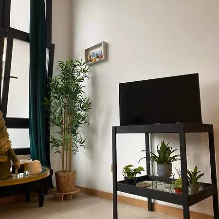 Castro Vut 7712 As 公寓