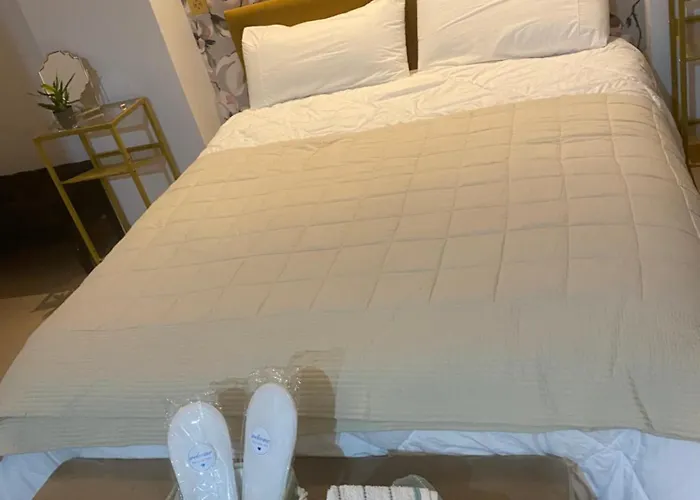 Castro Vut 7712 As * 希洪